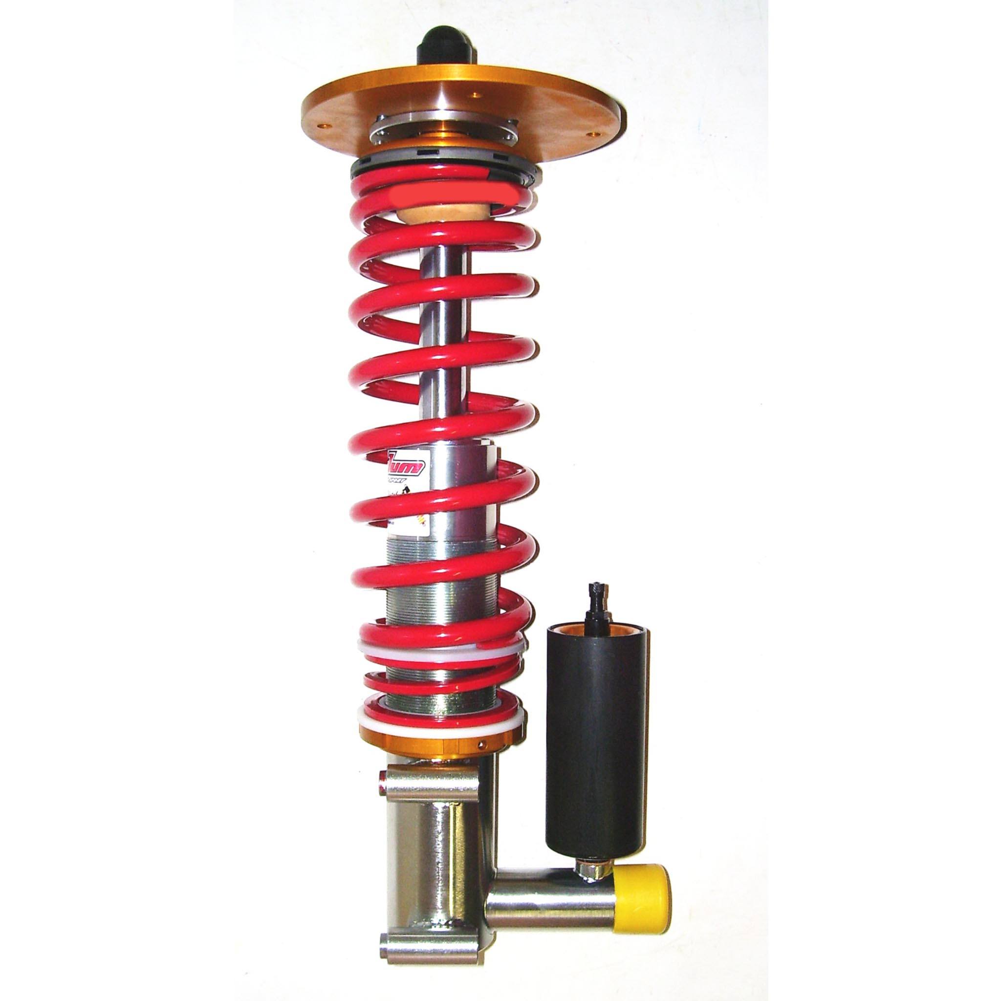 Peugeot 306 MAXI KIT CAR Protlum Suspensions